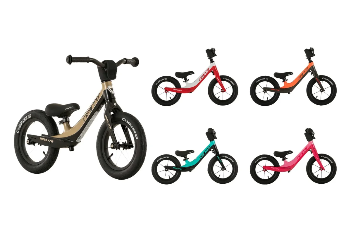 BICICLETA IMPULSO GW ELITE - Imagen 3